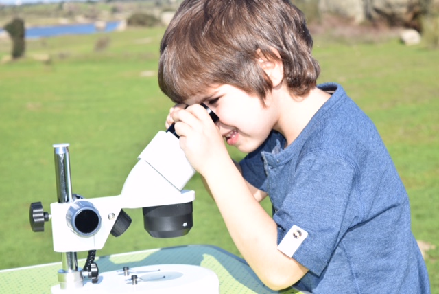Alquiler de microscopios