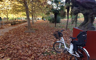 Excelente noticia para turistas que alquilan bicicletas en Cáceres